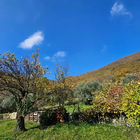 Poggio del Sole-3